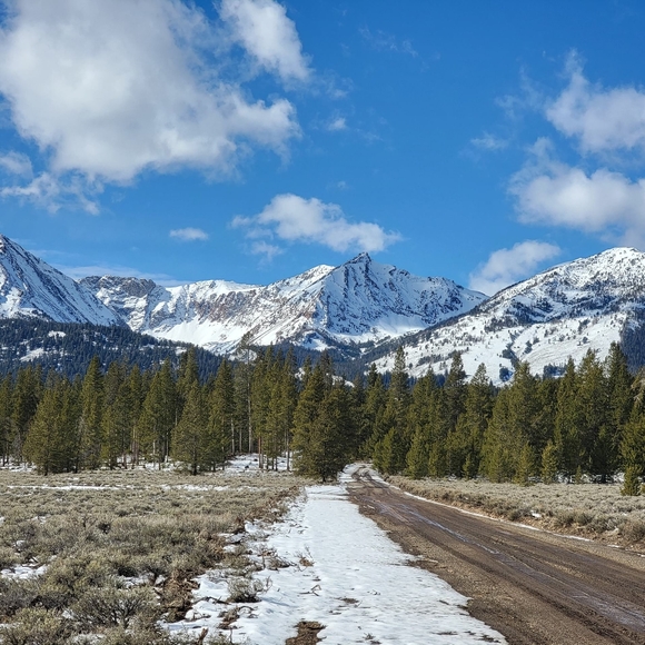 ✨️BUNDLE✨️ - Picture 2 of 2